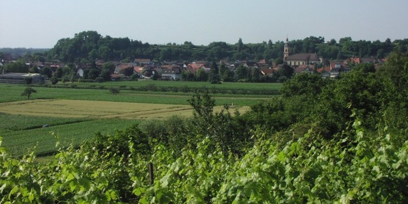 Blick auf Niederschopfheim